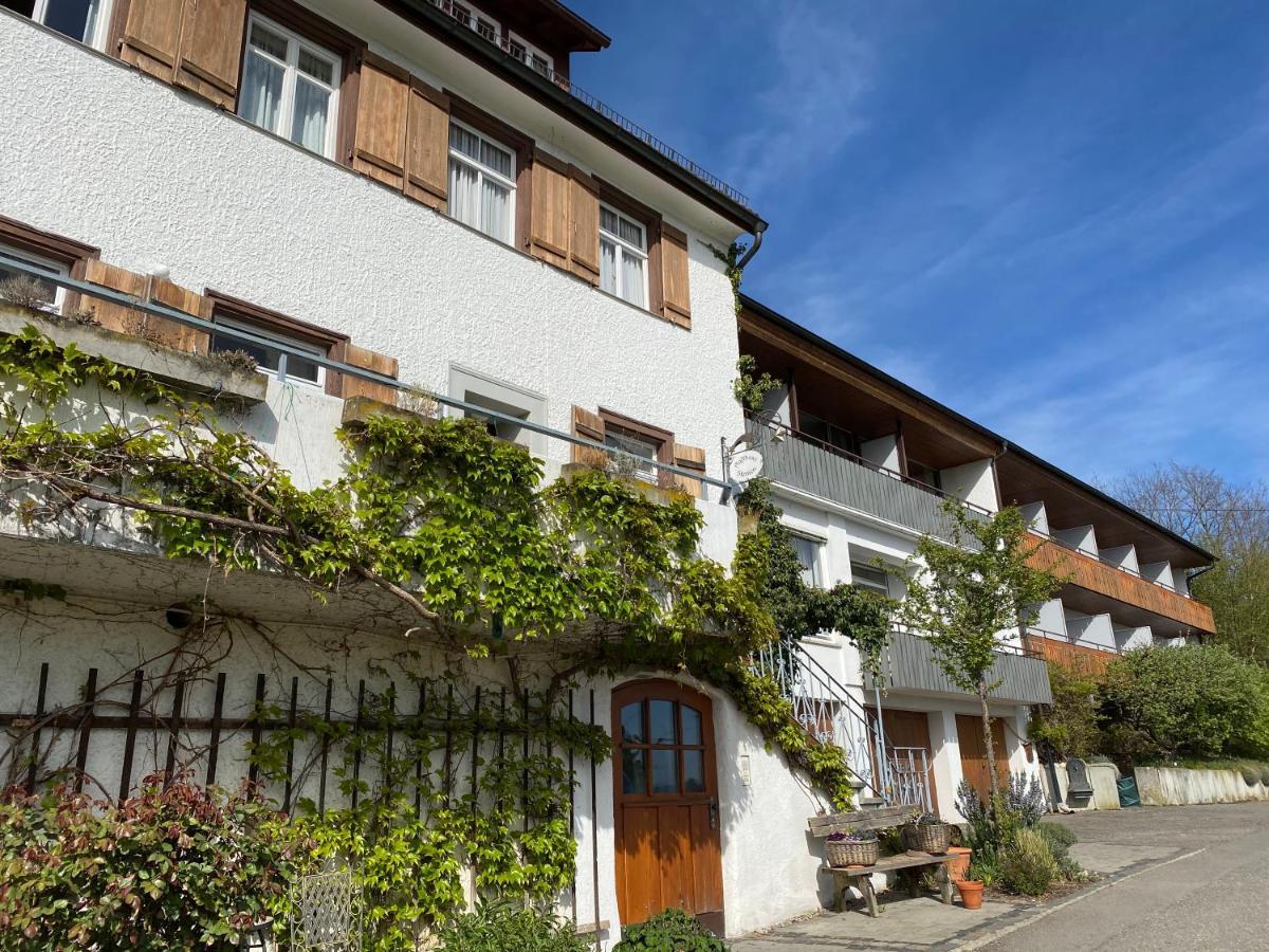 Hotel Landhaus Sternen 西普林根 外观 照片